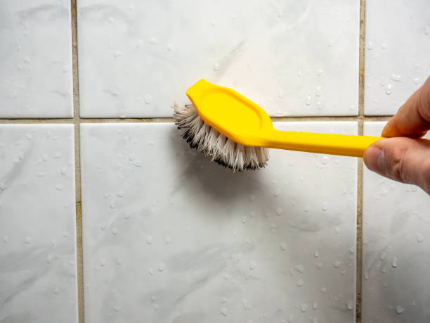 Mold Testing and Removal in Wilmington, DE