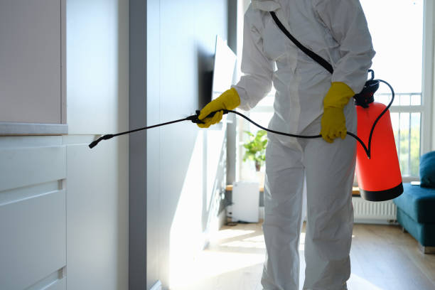 Best Commercial Mold Removal  in Wilmington, DE